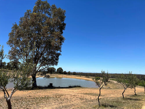 Winery Tours - Your Event Angels Ballarat